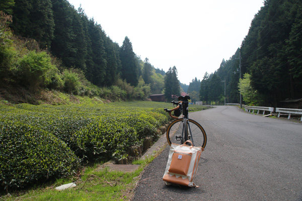 iPhone6 Plus �{�v�蒠�^���U�[�P�[�X